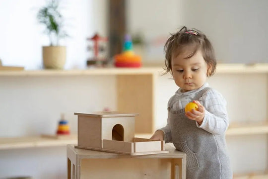 How Montessori toys contribute to the development of creative thinking and imagination?