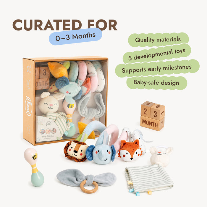 BabyBox — First Year Play Kits (0–12 Months)