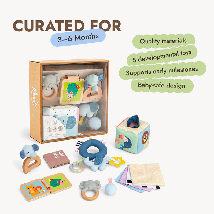BabyBox — First Year Play Kits (0–12 Months)