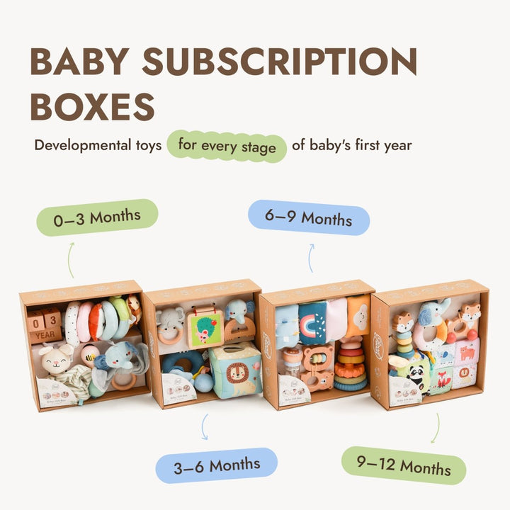 Annual Play Kits Subscription (0–12 Months) — GoodevasBox - Goodevas