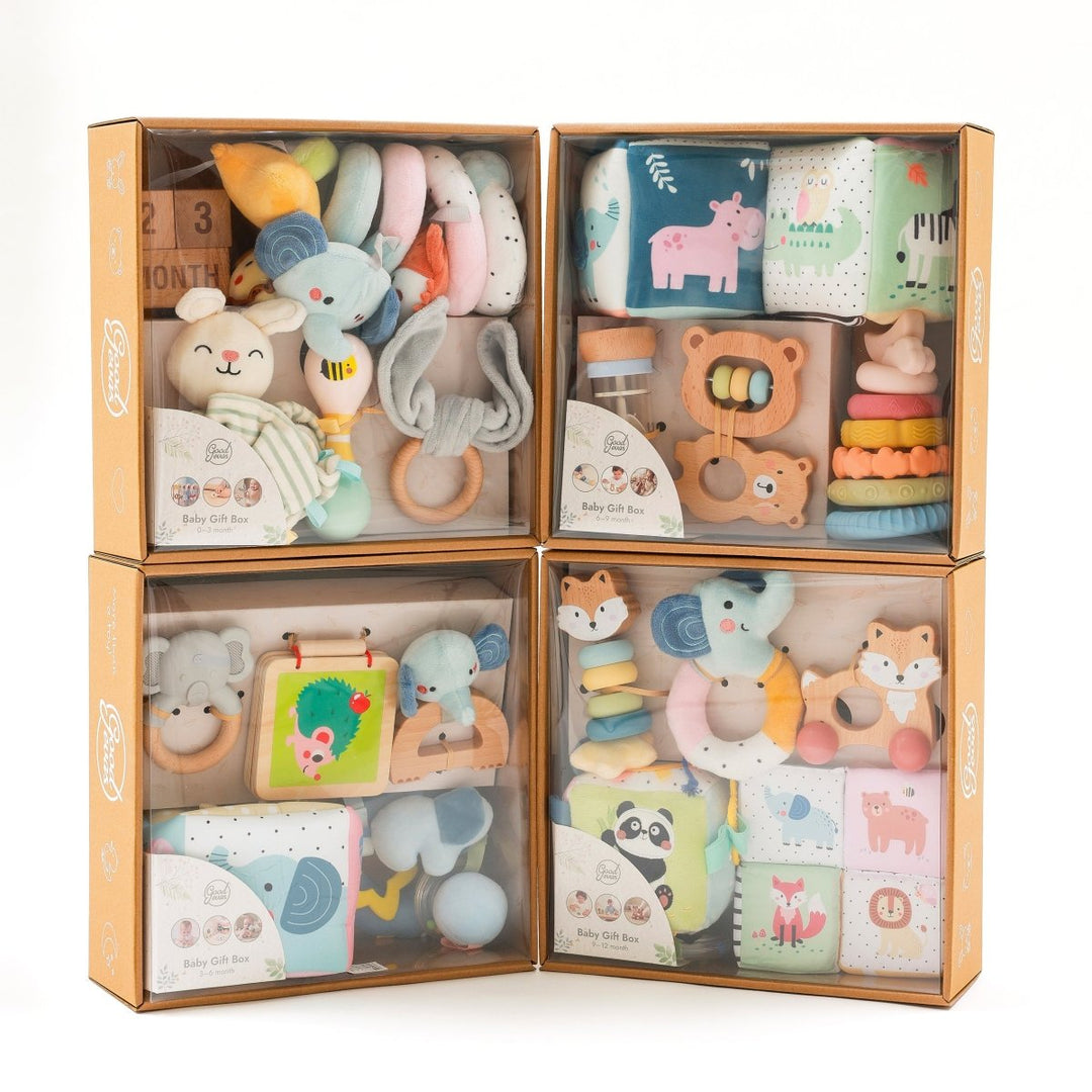 Annual Play Kits Subscription (0–12 Months) — GoodevasBox - Goodevas
