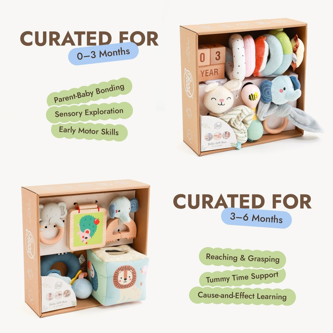 Annual Play Kits Subscription (0–12 Months) — GoodevasBox - Goodevas