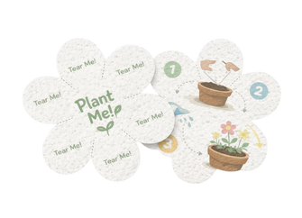 Annual Play Kits Subscription (3–4 Years) — GoodevasBox