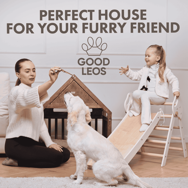 Wooden Dog Сage House with Pillow - Goodevas